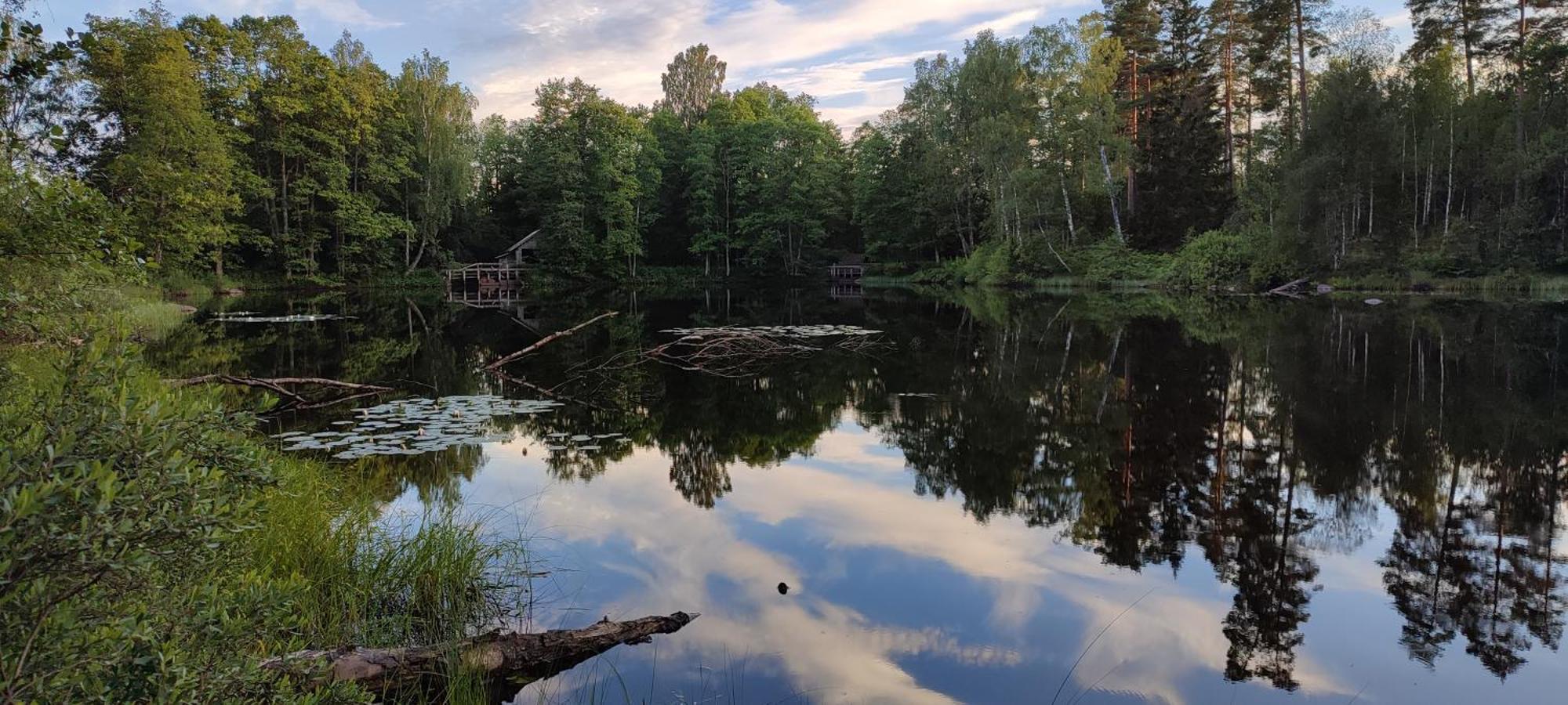 Boende I Malaskog, Near The Lake, Boat, Big Garden Ryssby Екстериор снимка